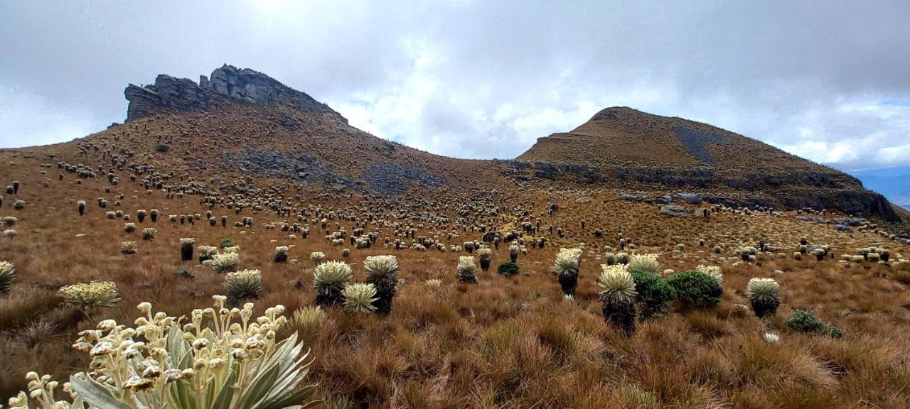 Hospedaje Y Camping Del Rio Monguí Dış mekan fotoğraf