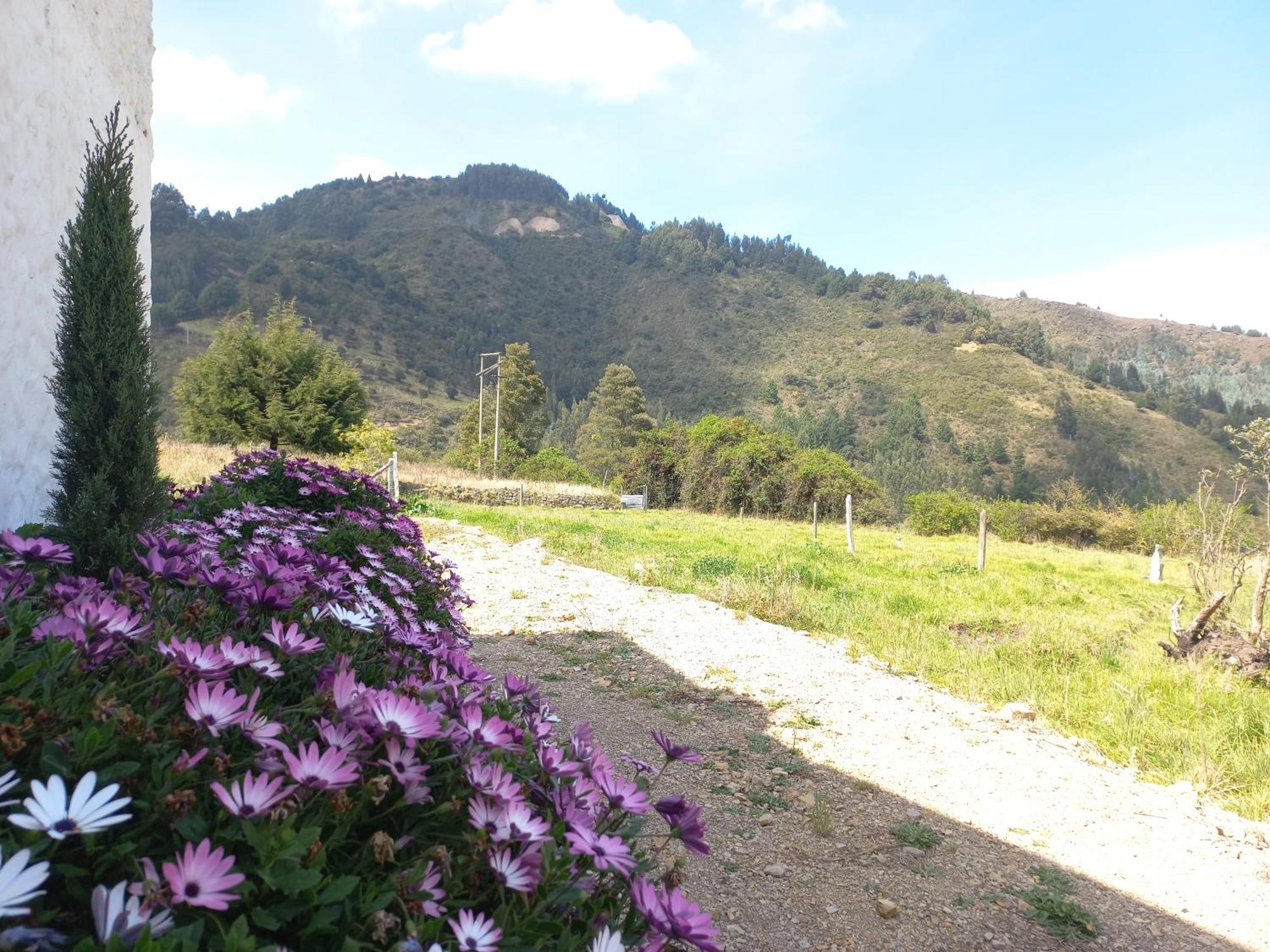 Hospedaje Y Camping Del Rio Monguí Dış mekan fotoğraf