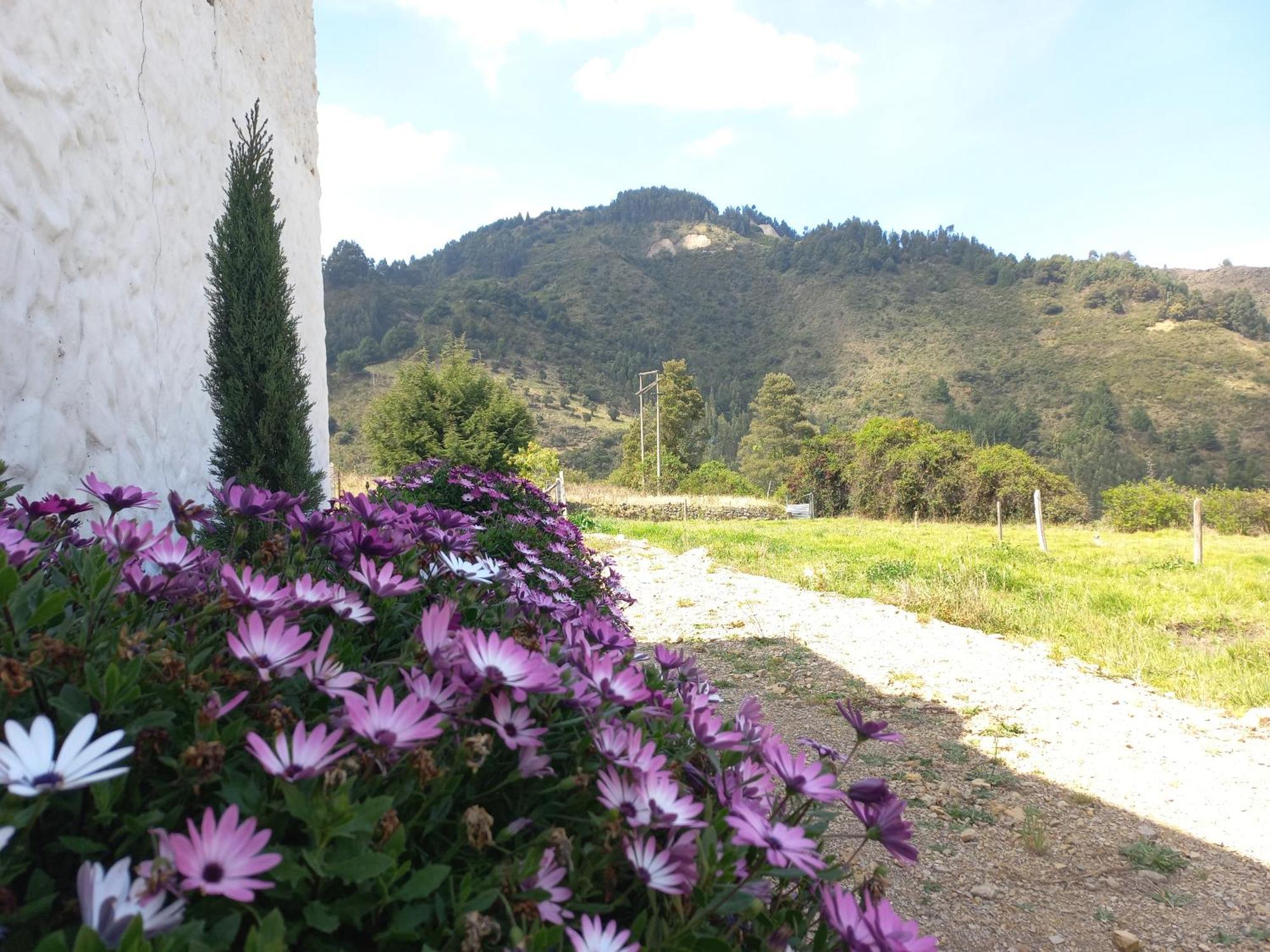 Hospedaje Y Camping Del Rio Monguí Dış mekan fotoğraf